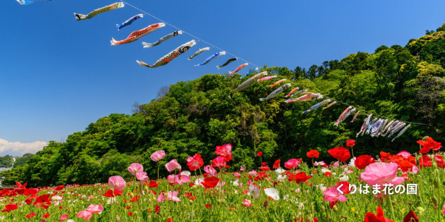 神奈川で楽しむゴールデンウイーク2026